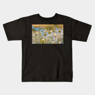 Oxeye Daisies Backlit by the Evening Sun Kids T-Shirt